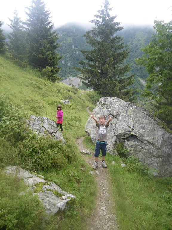 Gite Le Cerf De Belledonne Сент-Аньес Экстерьер фото