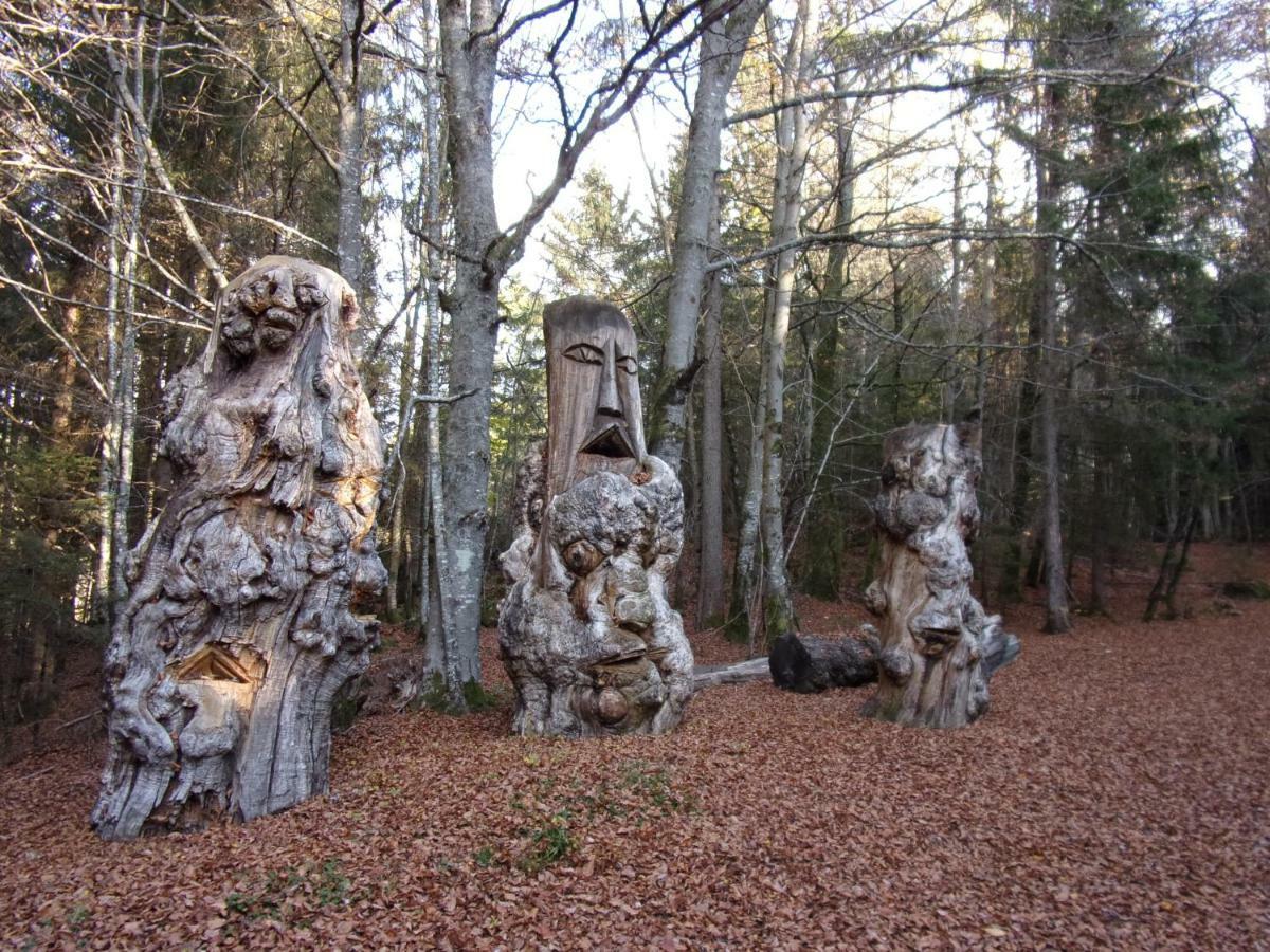 Gite Le Cerf De Belledonne Сент-Аньес Экстерьер фото